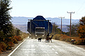 Road trip