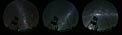 Cerro Armazones at night