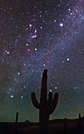 Prickly Points of Light