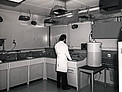 Developing plates at the Sky Atlas Laboratory