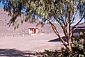 Petrol station at Camp Pelicano