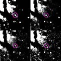 Brightness Decline of Nova in NGC 1316
