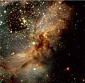 Peering into a Star Factory