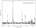 A VLT/FORS1 spectrum of a Type II Quasar