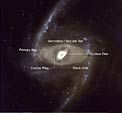 Structural Components of a Double-Barred Spiral Galaxy