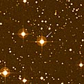 Heavy Metal Stars