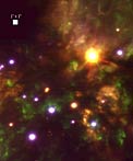 The Becklin-Neugebauer Object