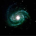M100 / NGC 4321