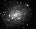 Spiral Galaxy NGC 300 (H-alpha band)