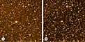 Proxima Centauri - the nearest star