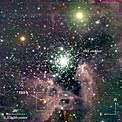The Galactic Starburst Region NGC 3603 (annotated)