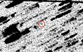 Shift-Added Composite Photo with Comet Halley Image