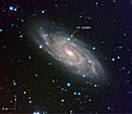 Spiral Galaxy NGC 6118 and SN 2004dk