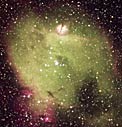 The LMC HII Region N214C