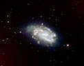 Supernova 2005dh and Spiral Galaxy NGC 1559