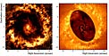 Filamentary Structures in NGC 1097