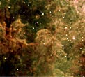 Gas Pillars in Tarantula Nebula