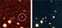 The Field around SN2006aj