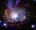 SN 1996cr in Circinus Galaxy