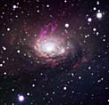 The Circinus Galaxy
