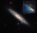 The Starburst Galaxy NGC 253