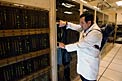 Verificando a eletrônica do correlacionador ALMA a 5000 metros de altitude
