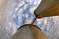 The ESO 3.6-metre telescope at La Silla