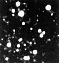 Globular cluster Centauri observed with the ESO NTT