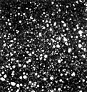 Small field near centre of Omega Centauri (NTT)