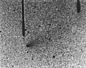 Image of comet "P/West-Hartley (1989k)"