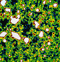 NTT deep field image of "empty" sky
