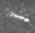 High-Energy Jet in NGC 3862