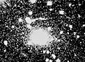 Gravitational Lens in EMSS 2137–23