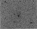 Comet Hale-Bopp