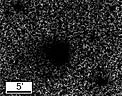 Comet Hale-Bopp