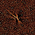 Comet Hale Bopp Dust Jets