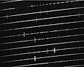 UVES spectrum of the Sun