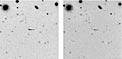 Methane Brown Dwarf