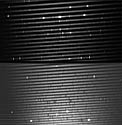 Echelle Spectrum of SN1987A