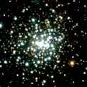 Central Star Cluster in NGC3603