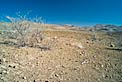 La Silla in the desert
