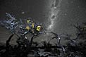 Winter starry landscape