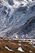 APEX site