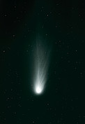Halley's Comet