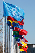 Flags at ESO Headquarters
