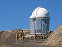 Furry Visitors at La Silla