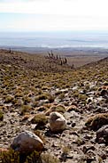 ALMA looking towards the OSF