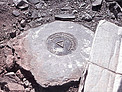 Plaque