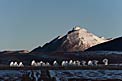 ALMA antenna array