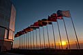 Flags on the VLT platform